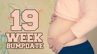 19 WEEK BUMPDATE  Chiropractor Blood Tests and Stretchmarks  Pregnant After Stillbirth [upl. by Lezned]