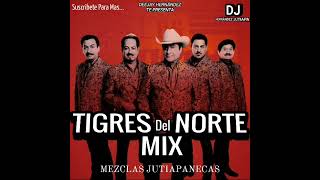 LOS DINAMICOS DEL NORTE MIX DJ TINO [upl. by Banebrudge145]