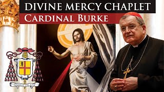 Pray the Divine Mercy Chaplet with Cardinal Burke [upl. by Meehyr]