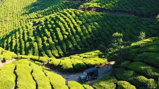 Kolukkumalai Tea Estates  Drone view Kerala  TelugumotoVlogs  Srimansunny [upl. by Lemahs123]