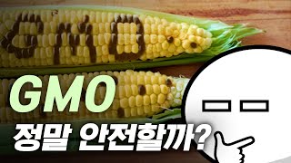 GMO 식품은 진짜 안전할까 [upl. by Enovahs]