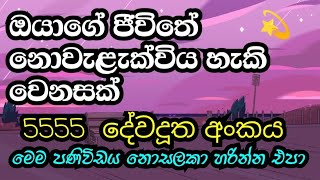 5555 Angel Number Meaning  5555 දේවදූත අංකය දකින්නේ ඇයි [upl. by Eenor271]