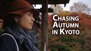 京都の紅葉 Autumn colors in Kyoto [upl. by Dorrie]