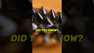 Ferromagnetism 🧲 detailenjoyer didyouknow nowyouknow ferrofluid magnet science educational [upl. by Glenna738]