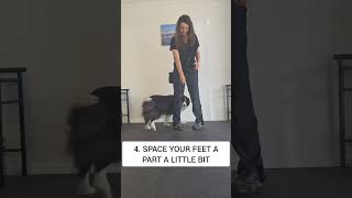 How To Teach Dog To Walk On Your Feet  Footsies [upl. by Aened789]