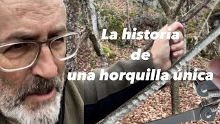 La historia de una horquilla única [upl. by Fredie620]