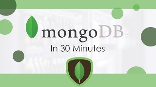 MongoDB In 30 Minutes [upl. by Aipotu]