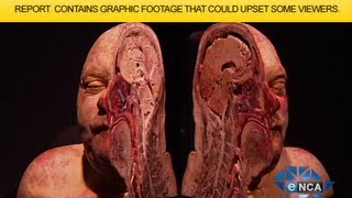 eNCA  Macabre Body Worlds Exhibition Visits SA [upl. by Laehpar248]