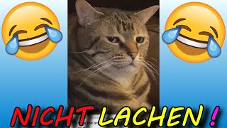 VERSUCHE nicht zu LACHEN CHALLENGE unmöglich 100 [upl. by Dorcea]