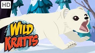 Wild Kratts 🐵❄️🐰 A Winter Fur Change ❄ Happy Holidays ❄ Kids Videos [upl. by Cimbura]