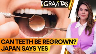 Gravitas Losing teeth This drug can regrow them  WION [upl. by Bahner64]