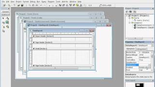 visual basic 60 Simple DataReport [upl. by Ttreve]