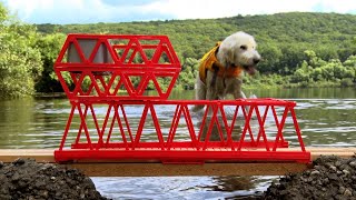 A Ferocious Sea Monster Attacks the Vicarstown Bridge [upl. by Brice13]