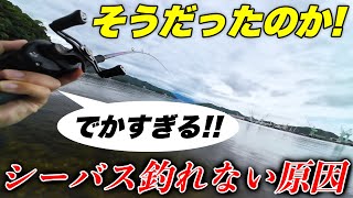 シーバスが釣れない原因が遂に分かりました俺の場合 [upl. by Merola]