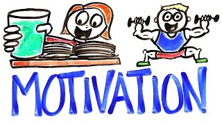 The Science Of Motivation [upl. by Vaios]