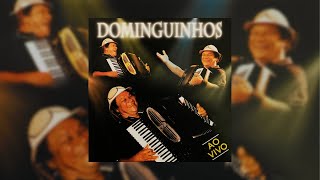 Dominguinhos  quotContrato de Separaçãoquot Ao Vivo2006 [upl. by Chemarin711]