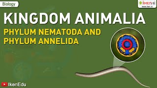 Kingdom Animalia Phylum Nematoda and Phylum Annelida  Biology  iKen  iKen Edu  iKen App [upl. by Erialcyram585]