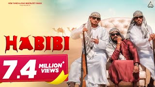 Habibi Official Video  Mohit Chopra  Pinky Singh  Lavee  Haryanvi Song [upl. by Nede]