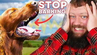 How To Train Your Dog Not To Bark  Stop Dog Barking [upl. by Ebeneser373]