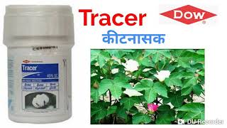 Dow Tracer  Tracer Insecticide  Spinosad 45 SC [upl. by Ardnot]