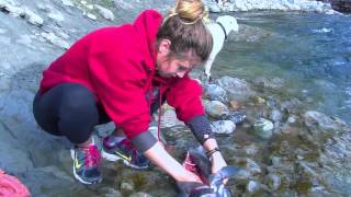 Cute girl Gutting a fish HUGE SALMON [upl. by Nilya]