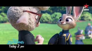 Kids special on Kinderland StayHomeStaySafe and Enjoy Zootopia today at 2 PM on StarMaa [upl. by Stronski]