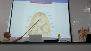 Anatomy of head amp neck 12  Skull  part 12  norma basalis interna   by Dr Wahdan [upl. by Demahum897]