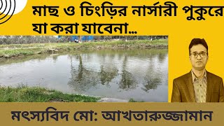 মাছ ও চিংড়ির নার্সারী পুকুরে যা করা যাবেনা Dos amp dont in nursery pond [upl. by Euridice432]