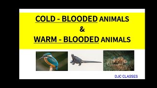 COLD  BLOODED ANIMALS amp WARM  BLOODED ANIMALS  POIKILOTHERMIC ANIMALS  HOMEOTHERMIC ANIMALS [upl. by Eadrahs]