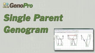 Single Parent Genogram in GenoPro [upl. by Jalbert]