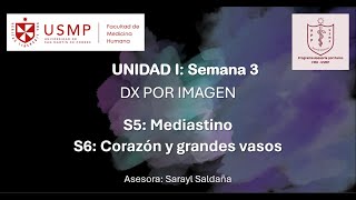 Diagnóstico por Imagen – Sesión 3 – Sarayl Saldaña – 20241 [upl. by Chandless]