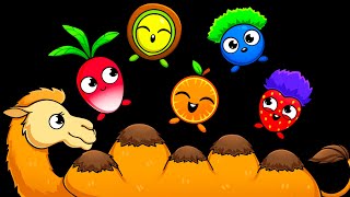 Alice The Camel Funky Fruits Baby Sensory  Funky Veggies Dance Party  Fun Video with Music [upl. by Sugihara216]