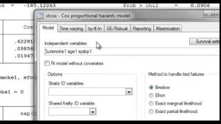 Stratified Cox model [upl. by Tilagram]