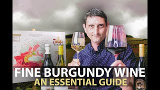 10Minute Guide to Burgundy  Fine Wines from Bourgogne Part1 [upl. by Diraj]