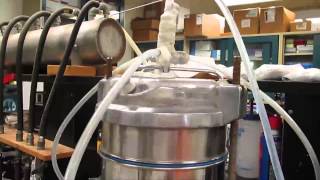 Particle Size Determination by Wet Sieving [upl. by Angelica232]