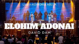 DAVID DAM  ELOHIM ADONAI “This is Kingdom Come” at KOINONIA ABUJA [upl. by Danieu]