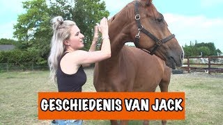 HET LEVEN VAN JACK  PaardenpraatTV [upl. by Nosae]