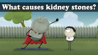 What causes kidney stones  aumsum kids science education children [upl. by Odrareve]