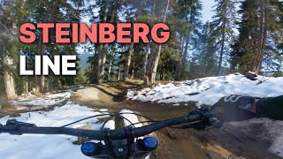 Steinberg Line by FOX  Leogang 2022  4K RAW POV [upl. by Terpstra]