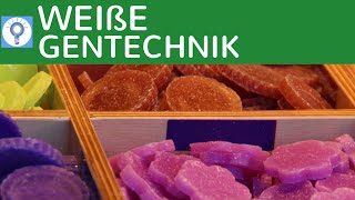 Weiße Gentechnik  Genetik in der Industrie einfach erklärt  Vor amp Nachteile  Gentechnologie [upl. by Bernj739]