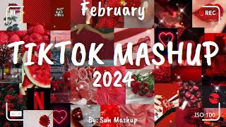 Tiktok Mashup February 🎉 2024 🎉 Not Clean [upl. by Ahsiral]