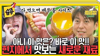 습콕📌 ※벌레 주의※ 에벌레에서 우유 맛이 난다고😜 라말라우 알부터 바뚜🐛까지 정글 현지 식재료 총출동정글밥 JungleBoB SBSenter [upl. by Orazio]