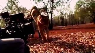 PULIMURUGAN FilM shooting with tiger eXposed [upl. by Waterman643]