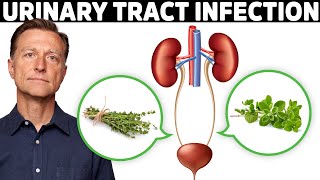 1 Best Remedy for a UTI Urinary Tract Infection [upl. by Silletram]