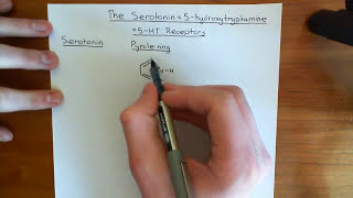 The Serotonin  5Hydroxytryptamine Receptors Part 1 [upl. by Catherina]