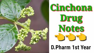 Cinchona drug pharmacypoints [upl. by Matthei625]