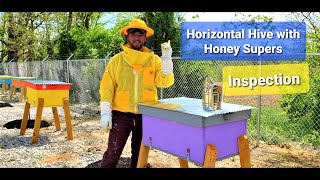 Horizontal Hive with Honey Supers Inspection horizontalhive horizontalhiveinspection honeybees [upl. by Akerdnuhs]