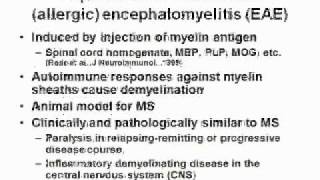 Multiple sclerosis axonal damage part 1 EAEwmv [upl. by Ellevehs]