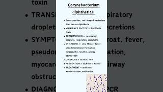 Corynebacterium diphtheriae [upl. by Jenness]