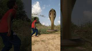 Snake enconda shorts trending videoAnaconda Snake in real life P285shorts snake anaconda [upl. by Garek960]